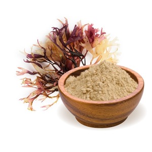 Nutritious Food Grade Natural Seaweed Extract Powder Wholesale <b>Dried</b> Sea <b>Moss</b> Powder for Export - Product Image 3