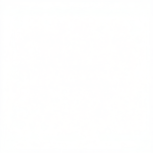 Cargador Universal Blanco Multi-Dispositivo 57659101401 para Productos EL - Product Image 3