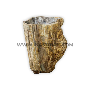 Aesthetic Rustic Black Petrified Wood Fossil Pedestal Indoor Outdoor Wash Basin Decorations for Home - Product Image 1