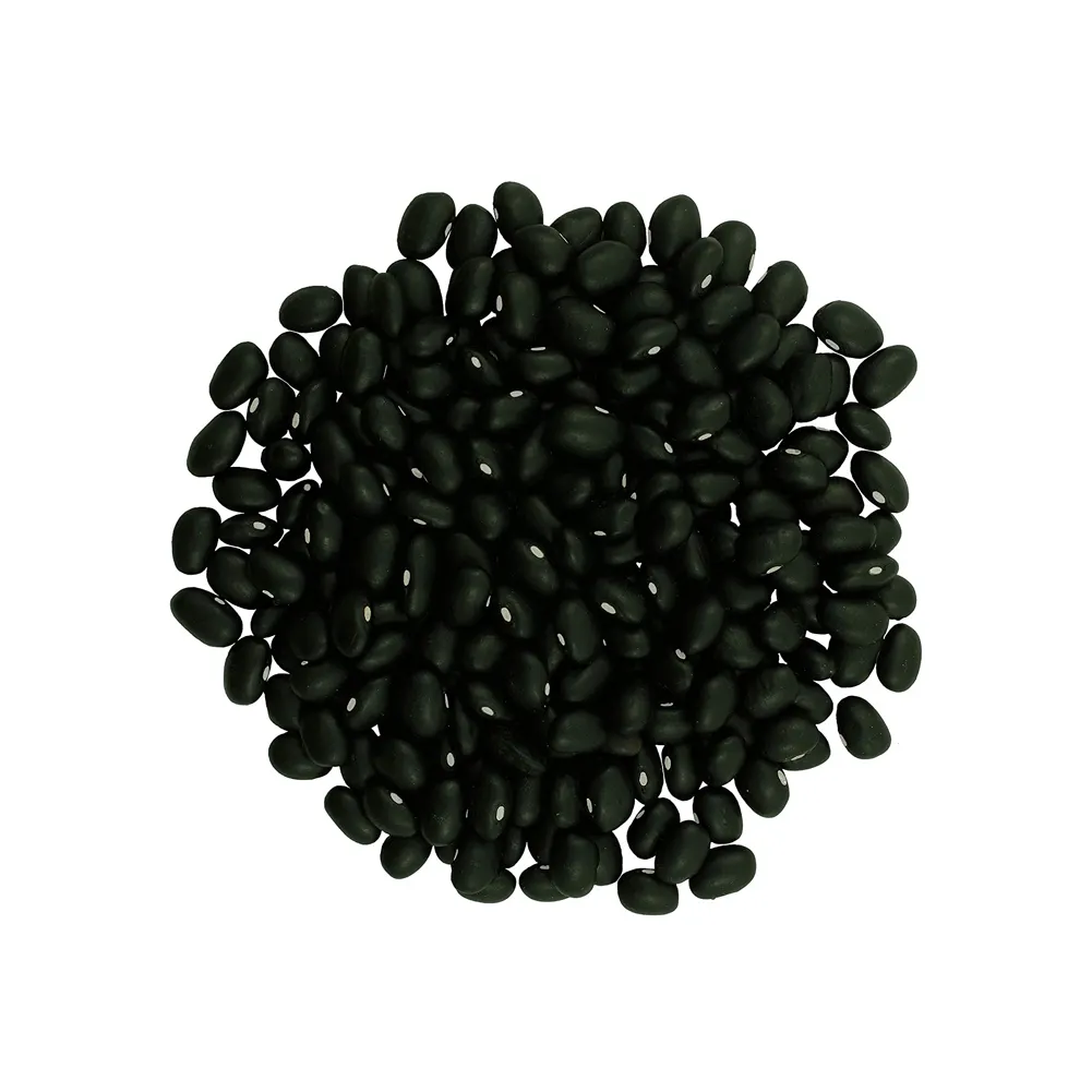 Fagioli neri all'ingrosso fagioli neri scuri con esportazione di fagioli neri di alta qualità piccoli neri scuri di alta qualità