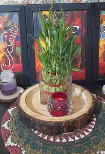 Plateau de service rond en bois avec un bord d'écorce Il est fabriqué à partir de bois de manguier et est conçu pour servir et décorer - Product Image 3