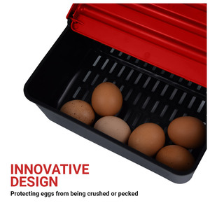 Vassoio per la raccolta delle uova in plastica resistente per la scatola di nidificazione del pollo <span class=keywords><strong>serie</strong></span> MG-semplifica la tua collezione di uova - Product Image 4