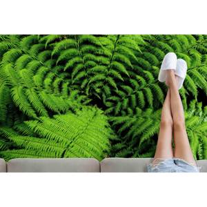 Tapis imprimé floral : motifs de pteridophytes et de fougères pour la porte d'entrée, avec tapis à poils doux - Product Image 1
