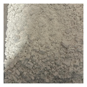 Poudre de racine de flèche séchée de qualité supérieure du Vietnam avec texture fine et arôme naturel pour la production d'aliments et de boissons - Product Image 1