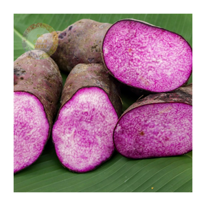 Yam congelado a granel-Calidad Premium de origen agrícola, ideal para distribuidores de alimentos, importadores y marcas de marca privada - Product Image 5