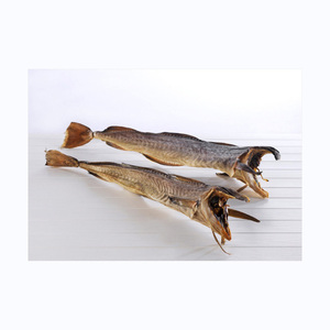 Grado de exportación Stockfish secado al sol sin cabeza empaquetado limpio proveedor a granel océano conservado Premium mariscos calidad entera - Product Image 1