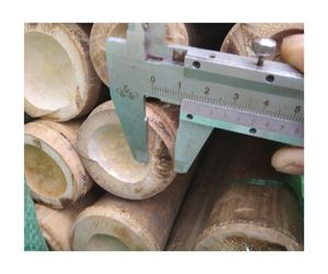 Precio al por mayor Bastón de bambú Material ecológico natural de alta calidad Suministro DEL FABRICANTE DE EXPORTACIÓN DE Vietnam - Product Image 4