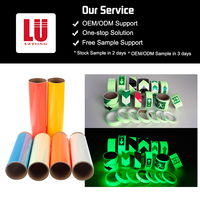 Material Fotoluminiscente, Vinilo Adhesivo Luminoso, Película que Brilla en la Oscuridad, Cortable con Plotter, Imprimible, Autoadhesivo para Seguridad
