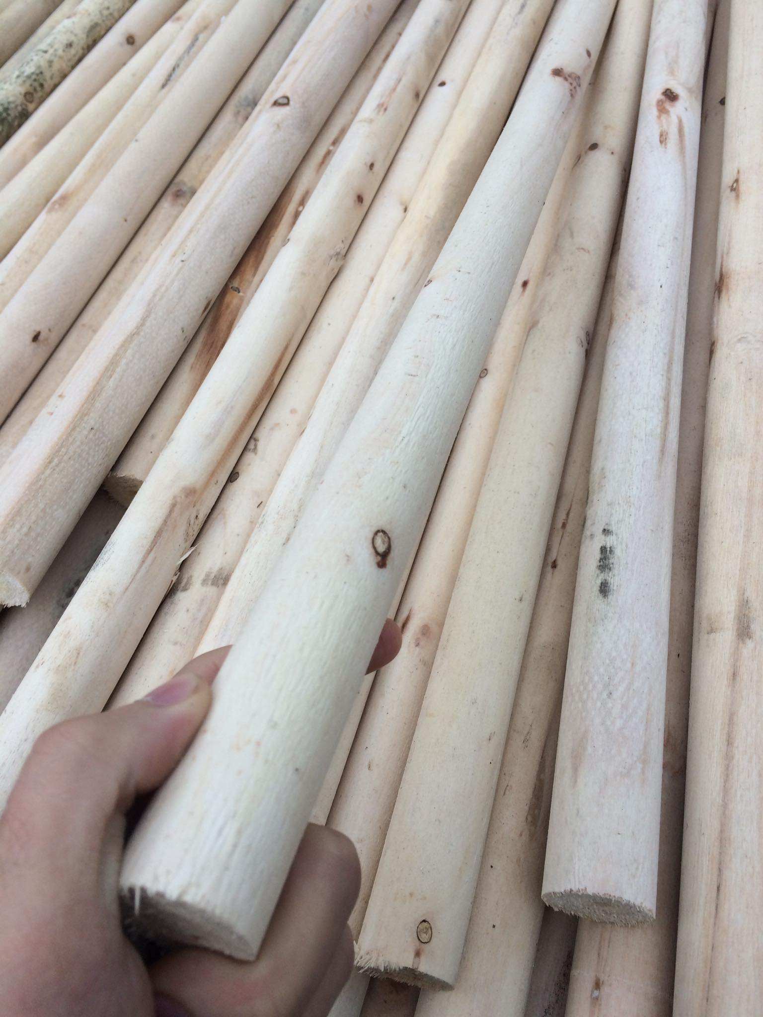 เหลืองอ่อน