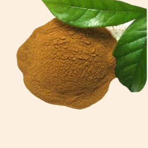 Envío gratis Vasaka extracto seco | Suministro a granel | Grado cosmético | Extracto para el cuidado de la piel y el cabello - Product Image 1