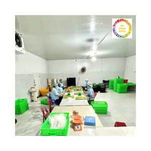 Savourez le goût doux et beurré de l'avocat congelé du Vietnam fabriqué à partir de fruits locaux mûrs de haute qualité - Product Image 6