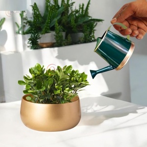 Bidon d'eau en métal décoratif décor à la maison articles de jardin couleur verte enduit de poudre peint à la main plante verte arrosoir fournitures - Product Image 4