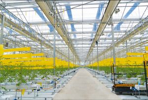 دفيئة زراعية على طراز فينلو مع نظام تظليل خارجي لزراعة الفراولة - Product Image 2