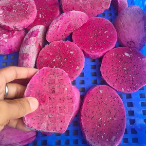 ผู้ผลิตผลไม้มังกรแช่แข็งจากเวียดนาม | สินค้าจำนวนมากส่งตรงจากโรงงานผู้ส่งออกทั่วโลก - Product Image 5