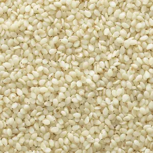 高品質のゴマ種子/100% 天然白ゴマ種子