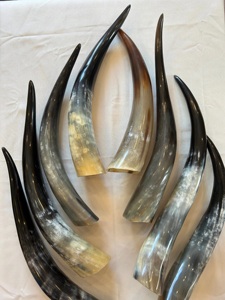 Cuerno de vaca natural Cuerno vikingo para beber Estilo animal pulido con revestimiento seguro para alimentos y diseño elegante para fines decorativos - Product Image 2