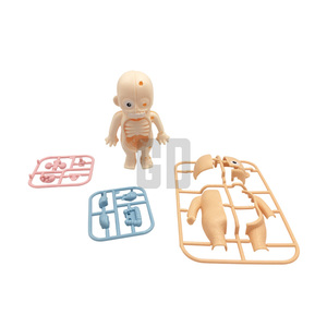<strong>Science</strong> &amp; Engineering Toys Human Body Anatomy <strong>Model</strong> - Product Image 1