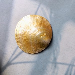 Vitrapro-plato de perlas madre de alta calidad, plato de cena, plato de postre, vajilla, 6 pulgadas, con logotipo personalizado - Product Image 4