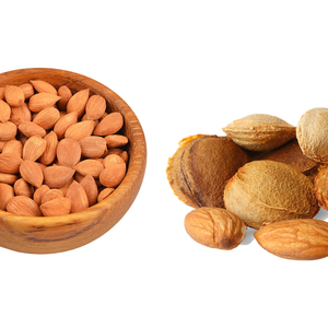 Nuez de Albaricoque |   Forma Cruda Grado A1, Vida Útil de 3 Años |   Utilizado en productos de salud y bienestar por Kohenoor International - Product Image 5