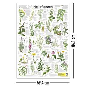 Póster de Plantas Medicinales DIN A1 Alemán, Modelo Anatómico para Ciencias Médicas, Material de PVC y Metal para Escuelas - Product Image 5