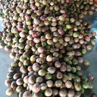 Verse Passievrucht Voor Export Verpakking 7 Kg/doos 84 976727907 Ms Carolina