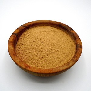 Poudre d'extrait de fruit Longan meilleure qualité poudre de longane pure prix compétitif grande quantité d'approvisionnement - Product Image 5