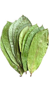 ใบทุเรียนเทศที่มีคุณภาพส่งออกเรามีใบแห้งอย่างพิถีพิถันตรงตามมาตรฐานสากล - Product Image 2