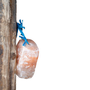 Sal Orgánica Natural para Lamer de Animales, Técnica de Lamer Real Touch, Rica en Minerales, Proteínas y Sales - Product Image 1