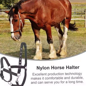 Licol de cheval en cuir de qualité supérieure Design artisanal Rembourrage doux Halters d'équitation pour un confort supplémentaire - Product Image 5