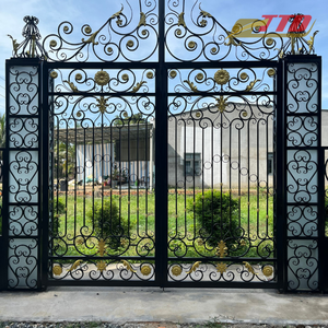 Conceptions contemporaines de porte de maison du Vietnam combinant le style minimaliste avec le cadre solide de fer - Product Image 1