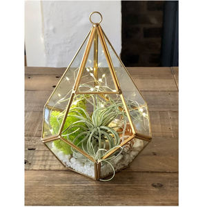 Superior Best Export Quality Clear Glass Vintage Brass Border Shiny Gold Hanging <b>Geometric</b> <b>Terrarium</b> Custom Size Home Office - Product Image 1
