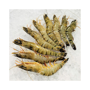 Camarones Tigre Negro Congelados en Paquete de Fábrica, Suministrados para Clientes Mayoristas - Product Image 4