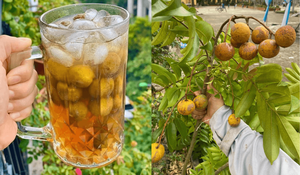 ผลไม้แช่แข็งคุณภาพส่งออก ดรากอนเมลอน จำหน่ายจำนวนมาก พร้อมบริการตัดและบรรจุภัณฑ์ตามความต้องการ - Product Image 4