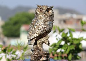 Antiques Nirmala : Ensemble de deux hiboux en résine faits à la main, technique de moulage carré, décoration Feng Shui pour la maison, pièce de décoration de table, meilleur cadeau, Rajasthan - Product Image 3