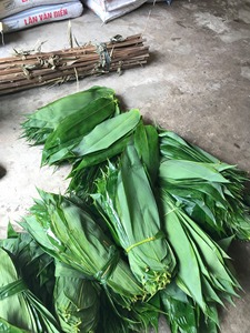 ขายดีที่สุดใบไผ่: ข้อเสนอพิเศษคุณภาพดี! -บัวสีน้ำเงินเวียดนาม - Product Image 6
