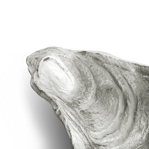 ชามเปลือกหอยหอยนางรมลายปะการังสำหรับเสิร์ฟของตกแต่งบ้านหรือเป็นของขวัญที่ได้แรงบันดาลใจจากชายหาด - Product Image 3