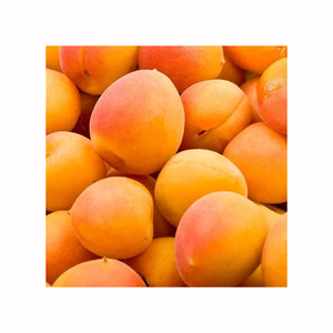 Frutas secas dulces de albaricoques OGM de alta calidad a granel para minoristas y mercados de frutas Proceso de secado AD - Product Image 6
