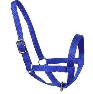 Licou en nylon de couleur bleue durable de qualité supérieure pour chevaux Fabricants de vente en gros de taille et de couleur personnalisées disponibles - Product Image 6