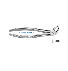Fórceps de extracción de dientes de acero inoxidable de alta calidad Fig.4 Caninos inferiores y bicúspides Herramienta de cirugía oral dental quirúrgica - Product Image 3
