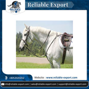 Nouvelle Collection de plastron cheval d'équipement d'équitation du fournisseur indien - Product Image 6