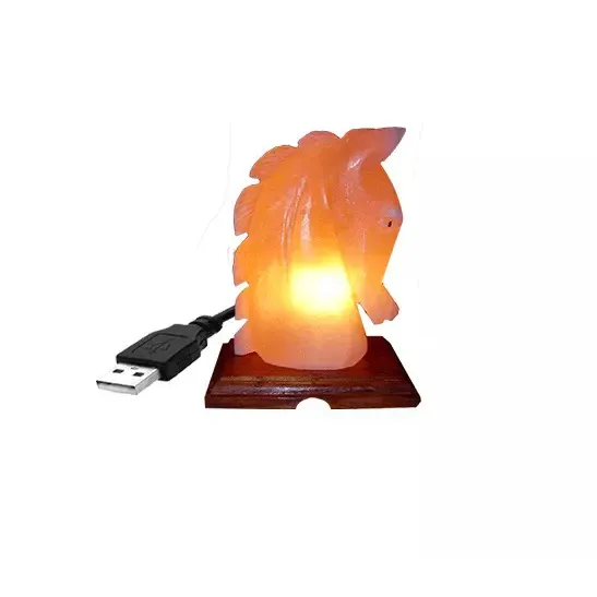 2023 Sale Himalayan Salt lamp Horse Design MINI USB Night Lamp High Quality Natural 100% Pure Original wholesale new Salt lamp