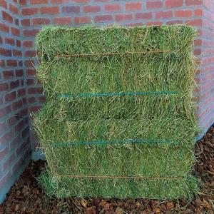 Heno de Alfalfa Seco 100% Natural a la Venta, Pacas de Heno de Alfalfa Disponibles para Alimentación de Ganado, Exportación Mundial Lista para Envío - Product Image 1