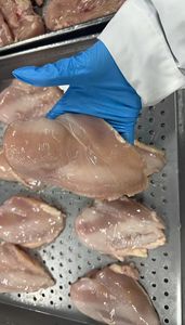 Pechuga de Pollo Congelada Sin Piel ni Hueso al por Mayor, Filetes de Pollo Halal Certificados Sin Hueso, Mejor Precio, Pechuga de Pollo Congelada - Product Image 5