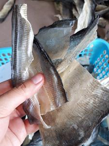 Ofertas exclusivas en pieles de pescado empaquetadas a granel de 99 Gold Factory de alta calidad de proveedor vietnamita - Product Image 3