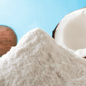 LECHE DE COCO EN POLVO PREMIUM - SABOR RICHO Y TEXTURA CREMOSA - Product Image 1