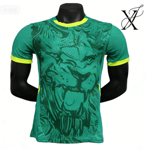 Camisetas de Fútbol Senegalesas Personalizables 2526 - Ropa Deportiva Multiusos Transpirable para Hombre y Mujer - Product Image 1
