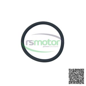 OEM Original Round Sealing Ring for MWM RS-01180359 for Natural Gas Engine New Machinery Parts - Product Image 2