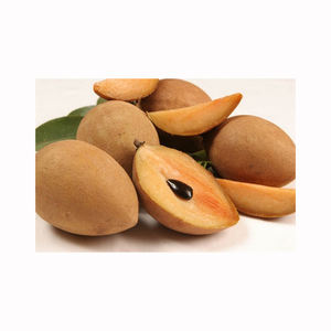 Chikoo (Sapota), Fruta Dulce Marrón, Cosecha Fresca, Suministro Tropical Natural, Exportadores de Primera Calidad, Comercio al por Mayor - Product Image 4