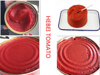 Contenant de pâte de tomate à haute teneur en lycopène disponible de marque privée