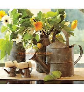 Soporte decorativo para flores de caña de agua Vintage para hogar y jardín, soporte colgante para plantas de jardín de Metal galvanizado - Product Image 3